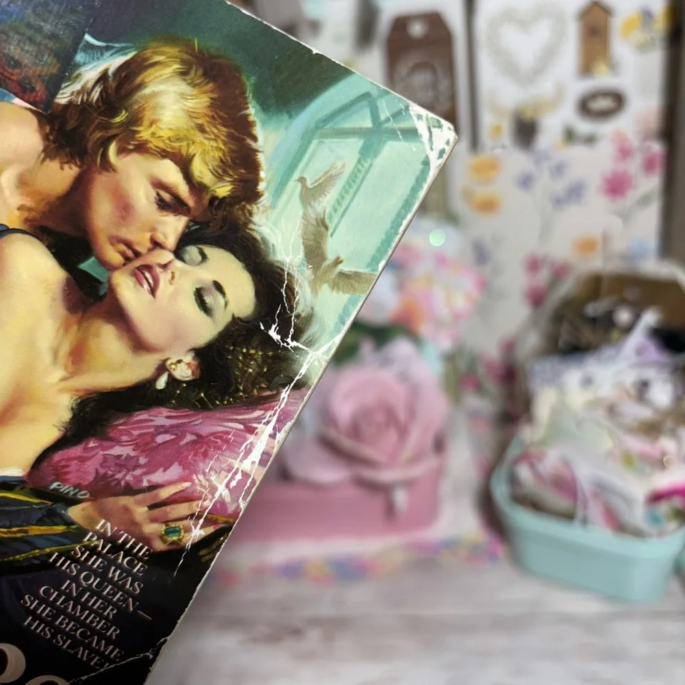 Lovefire By Deana James Vintage Historical Romance Novel 1985 Clinch Cover Zebra